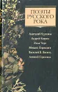 Поэты русского рока: Анатолий Крупнов, Андрей Князев, Илья Черт, Михаил Борзыкин, Василий В. Васинъ, Алексей Горшенев - Крупнов Анатолий Германович, Князев Андрей Сергеевич