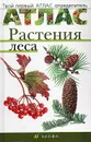 Растения леса - Т. А. Козлова, В. И. Сивоглазов