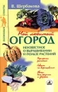 Мой любимый огород: неизвестное о выращивании и пользе растений - В. Щербакова