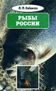Л. П. Сабанеев. Собрание сочинений в восьми томах. Том 7. Рыбы России - Л. П. Сабанеев