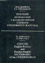 Краткий англо-русский и русско-английский словарь уголовного жаргона - Ю. П. Дубягин, Е. А. Теплицкий