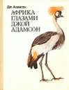 Африка глазами Джой Адамсон - Адамсон Джой
