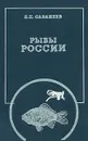 Рыбы России. Жизнь и ловля (уженье) наших пресноводных рыб. В двух томах. Том 2 - Л. П. Сабанеев