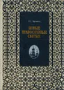 Новые православные святые - Н. С. Гордиенко