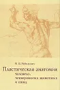 Пластическая анатомия человека, четвероногих животных и птиц - М. Ц. Рабинович