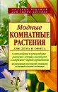 Модные комнатные растения для дома и офиса - Алла Борисова,Ольга Бердникова