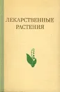 Лекарственные растения - Адель Гаммерман,Геннадий Кадаев,Мария Шупинская,Андрей Яценко-Хмелевский