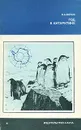 Год в Антарктике - Попов Лев Алексеевич