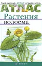 Растения водоема - Козлова Татьяна Александровна, Сивоглазов Владислав Иванович