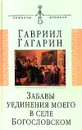 Забавы уединения моего в селе Богословском - Гавриил Гагарин