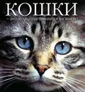 Кошки - это духи, спустившиеся на землю - Сергей Федин