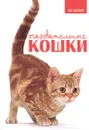 Очаровательные кошки - Карен Принс