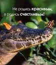 Не родись красивым, а родись счастливым! - Том Вандербук