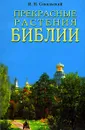 Прекрасные растения Библии - И. Н. Сокольский