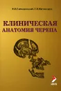 Клиническая анатомия черепа - И. В. Гайворонский, Г. И. Ничипорук