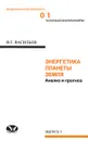 Энергетика планеты Земля. Анализ и прогноз - В. Г. Васильев