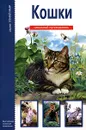 Кошки - С. Ю. Афонькин