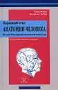 Карманный атлас анатомии человека на основе Международной номенклатуры - Хайнц Фениш, Вольфганг Даубер