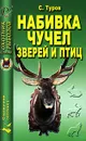 Набивка чучел зверей и птиц - С. Туров