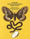 Редкие беспозвоночные животные - Н. И. Кочетова, М. И. Акимушкина, В. Н. Дыхнов