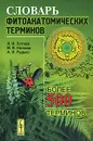 Словарь фитоанатомических терминов - Л. И. Лотова, М. В. Нилова, А. И. Рудько