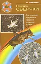 Певчие сверчки. Опыт успешного содержания и разведения в домашних условиях - Л. Чебыкина