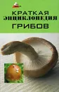 Краткая энциклопедия грибов - Т. Ю. Суворова