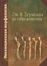 Эволюционная морфология от К. Гегенбаура до современности - Дзержинский Феликс Янович, Корзун Л.