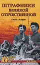 Штрафники Великой Отечественной. В жизни и на экране - Ю. В. Рубцов
