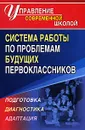 Система работы по проблемам будущих первоклассников. Подготовка, диагностика, адаптация - Е. В. Меттус