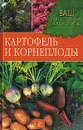 Картофель и корнеплоды - Т. Д. Комарова, Е. А. Непорожняя