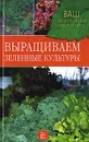 Выращиваем зеленые культуры - З. С. Горлачева, О. К. Кустова