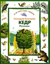 Кедр - Геннадий Снегирев