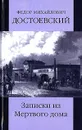 Ф. М. Достоевский. Собрание сочинений. Том 2. Записки из Мертвого дома - Ф. М. Достоевский