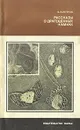 Рассказы о драгоценных камнях - В. П. Петров