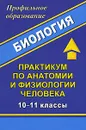 Биология. Практикум по анатомии и физиологии человека. 10-11 классы - Марина Высоцкая