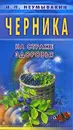 Черника. На страже здоровья - И. П. Неумывакин