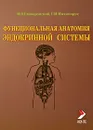 Функциональная анатомия эндокринной системы - И. В. Гайворонский, Г. И. Ничипорук