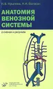 Анатомия венозной системы в схемах и рисунках - Н. В. Крылова, Н. И. Волосок