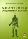 Анатомия соединений костей - И. В. Гайворонский, Г. И. Ничипорук