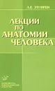 Лекции по анатомии человека - Л. Е. Этинген