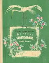 Деревня Цапельки, дом один - Демыкина Галина Николаевна