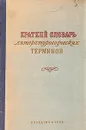 Краткий словарь литературных терминов - Венгров Натан, Тимофеев Леонид Иванович