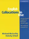 English Collocations in Use: Intermediate - Michael McCarthy, Felicity O'Dell