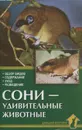 Сони - удивительные животные - А. И. Рахманов