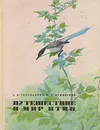 Путешествие в мир птиц - Э. Н. Голованова, Ю. Б. Пукинский