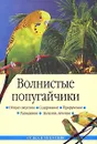 Волнистые попугайчики - Жалпанова Линиза Жувановна