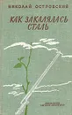 Как закалялась сталь - Островский Николай Алексеевич