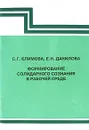 Формирование солидарного сознания в рабочей среде - С. Г. Климова, Е. Н. Данилова