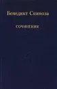 Бенедикт Спиноза. Сочинения в 2 томах. Том 2 - Бенедикт Спиноза